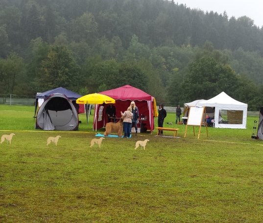 Famir Staufen 2014-2-1