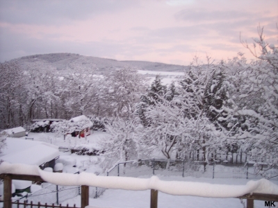 Winter 1-2-2010