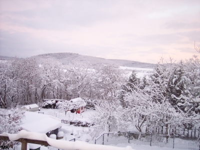 Winter 3-2-2010