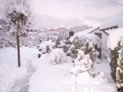Winter 5-2-2010