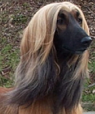 Dilara Kopf5