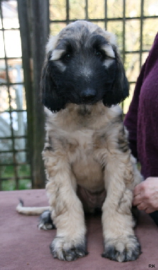 Jada 29-03-14-1-1